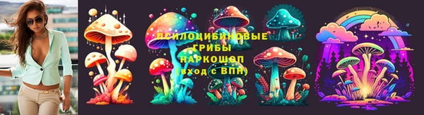 Альфа ПВП Фёдоровский