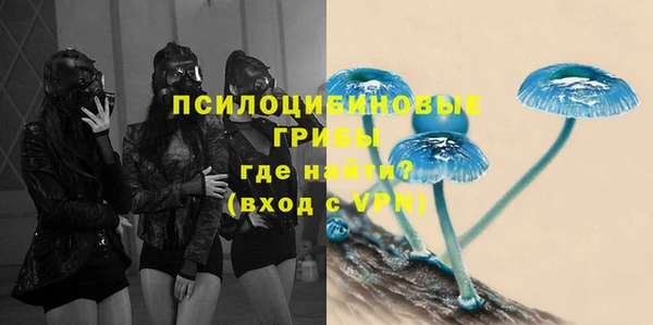 Альфа ПВП Фёдоровский