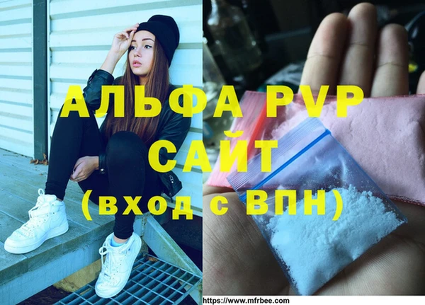 ГАЛЛЮЦИНОГЕННЫЕ ГРИБЫ Нестеровская
