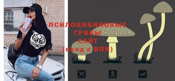 ГАЛЛЮЦИНОГЕННЫЕ ГРИБЫ Нестеровская