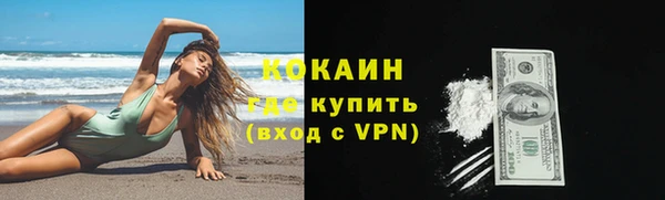 ГАЛЛЮЦИНОГЕННЫЕ ГРИБЫ Нестеровская