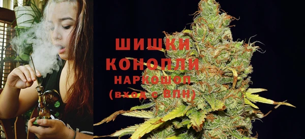 ГАЛЛЮЦИНОГЕННЫЕ ГРИБЫ Нестеровская