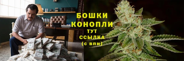 Альфа ПВП Фёдоровский