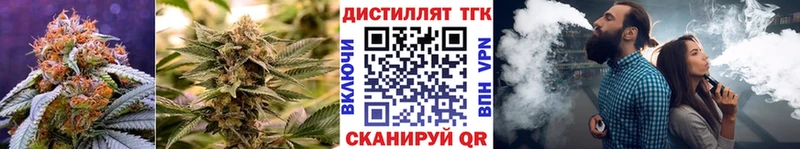 ТГК концентрат  Приморск 