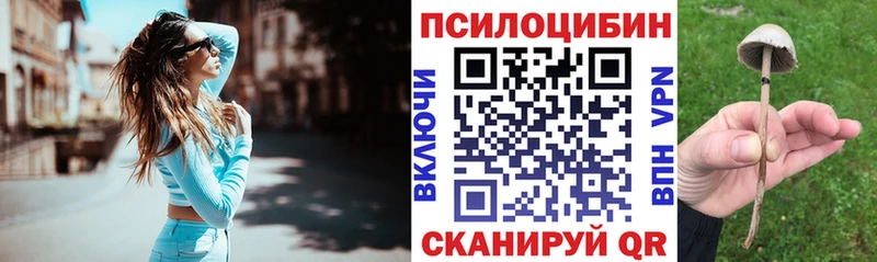 Псилоцибиновые грибы Magic Shrooms где купить Приморск